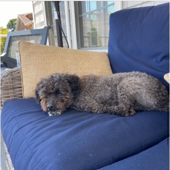 LOWER % OFFERS ON ANY ITEM IN MY CLOSET THROUGH 10/31 @ 11:59PM EST - Picture 12 of 13